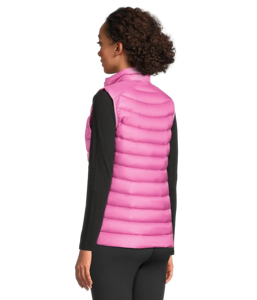 Arc'teryx Cerium Vest 3