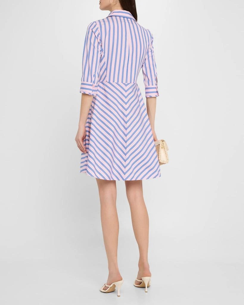 Evi Grintela Cara Striped Cotton Shirtdress 3