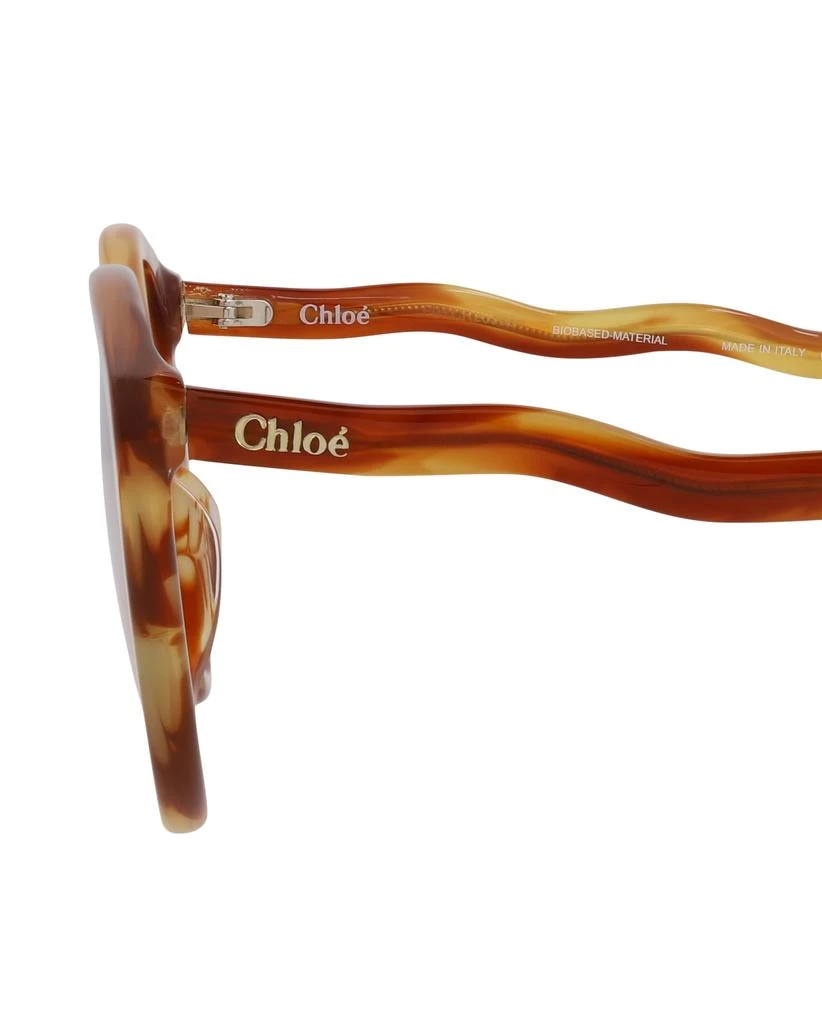 Chloé Cat Eye-Frame Bio Acetate Sunglasses 4