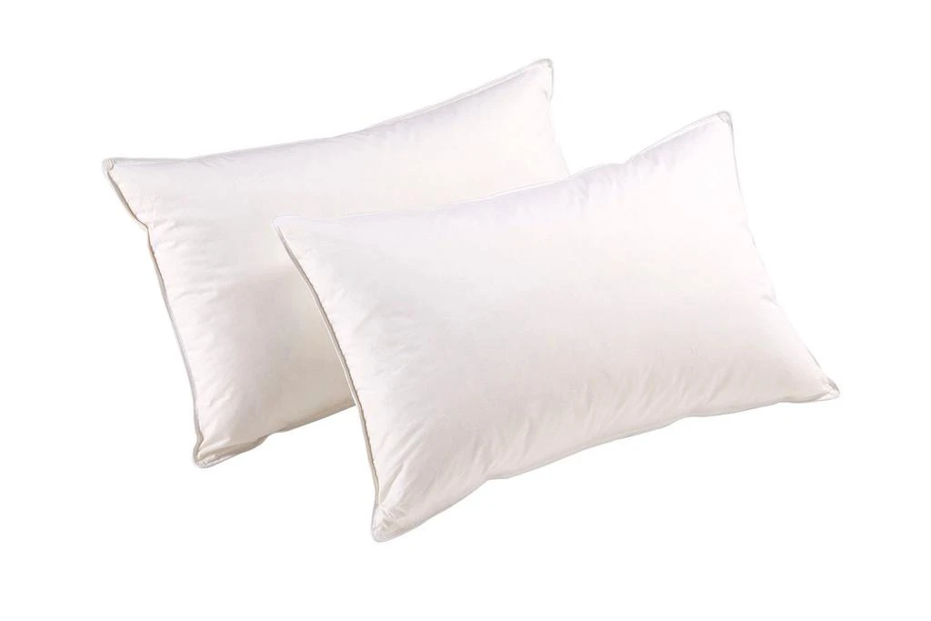 Christy Essential pillow pair white 1