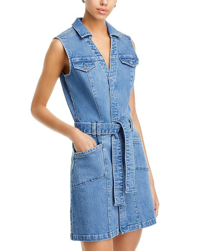 Paige Kelsee Self Tie Mini Dress 1