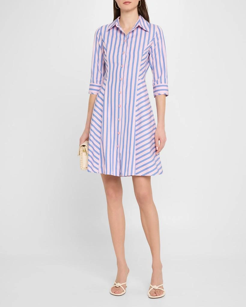 Evi Grintela Cara Striped Cotton Shirtdress 4