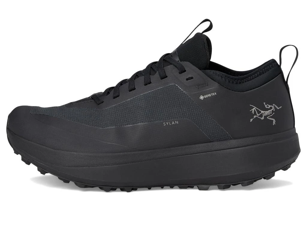 Arc
teryx Sylan GTX 4