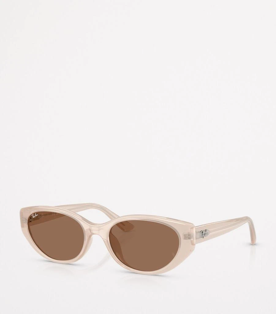 Ray-Ban RB4457D Bio-Based Sunglasses 2