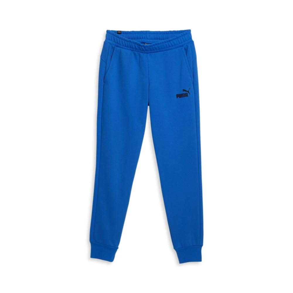 Puma Essentials Logo Pants 1