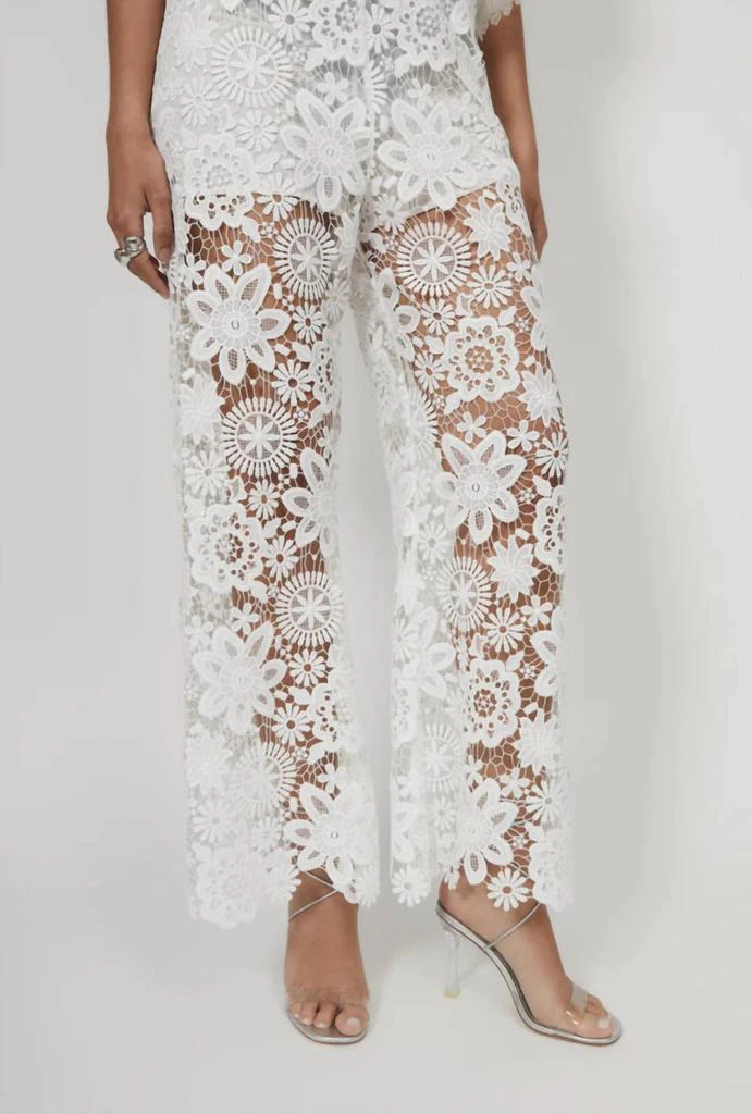 Waimari Waimari - Demi Pant 2