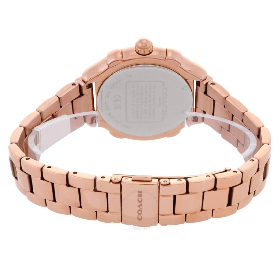 Coach Suzie Quartz Silver Dial Ladies Watch 14503963 3