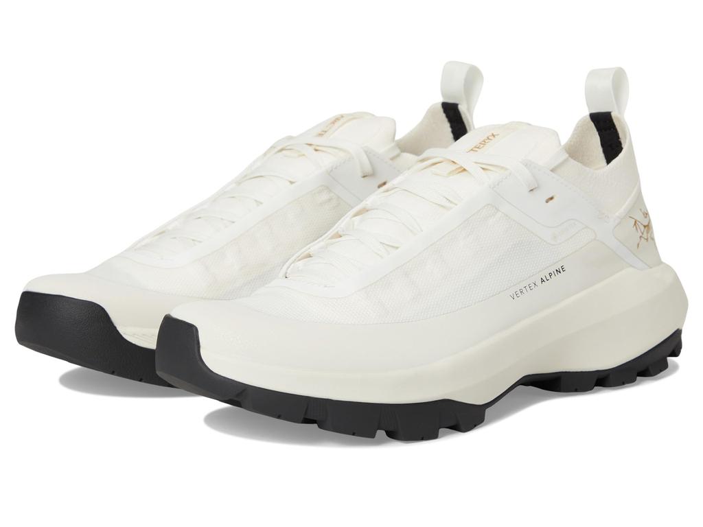 Arc'teryx Vertex Alpine GTX