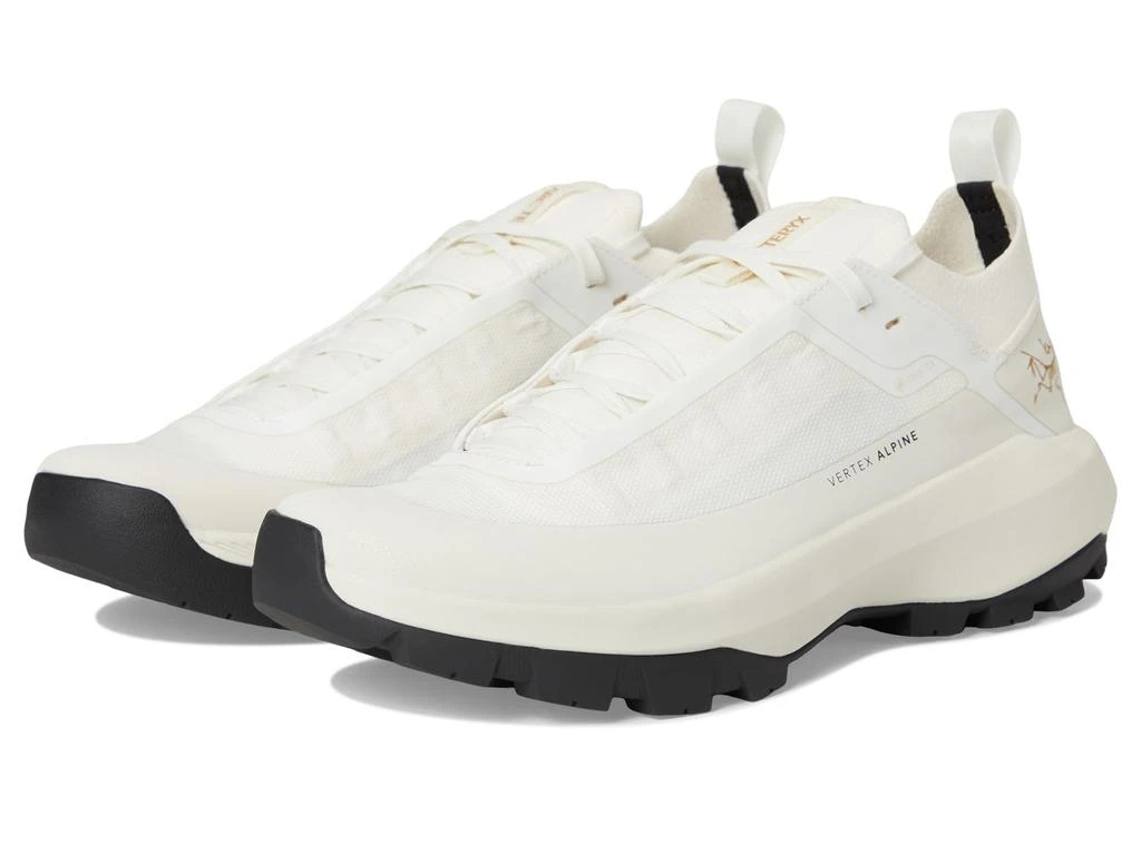 Arc'teryx Vertex Alpine GTX 1