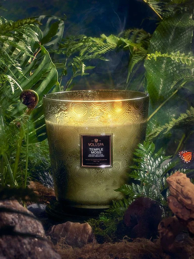 Voluspa Japonica Temple Moss 5-Wick Hearth Candle 3