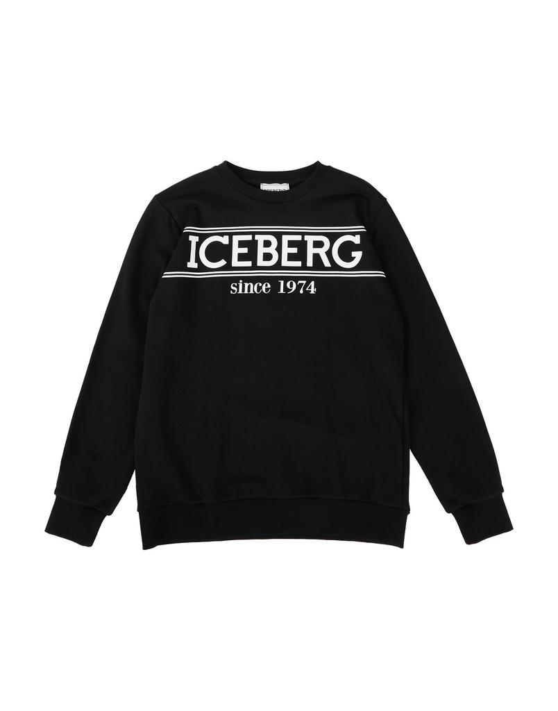 Iceberg Sweatshirt