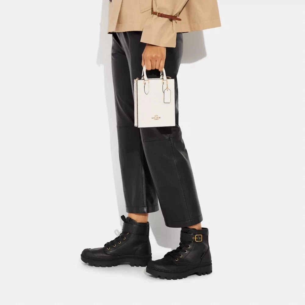 Coach North South Mini Tote 3