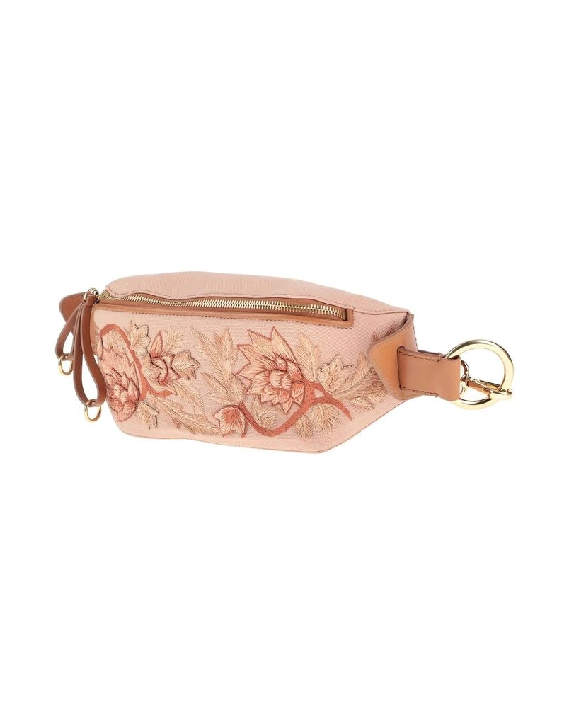 Alberta Ferretti Belt Bags 1