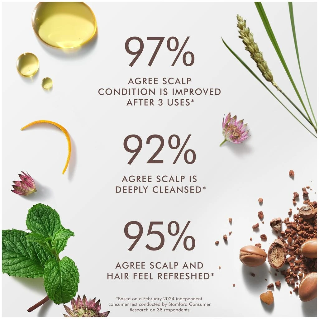 Moroccanoil Moroccanoil Scalp Purifying Scrub 4.2 oz 6