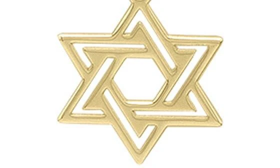 KARAT RUSH 14K Yellow Gold Star of David Pendant Necklace 4