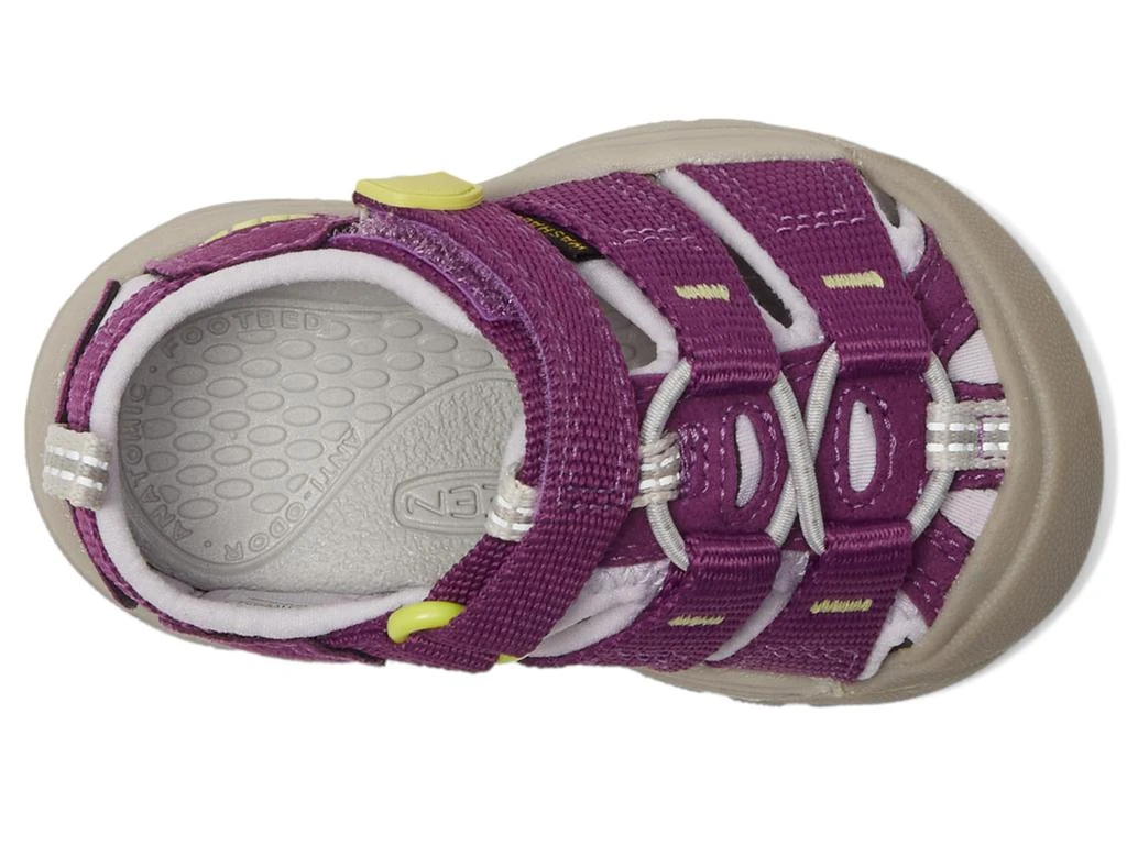 Keen Newport H2 (Toddler) 2