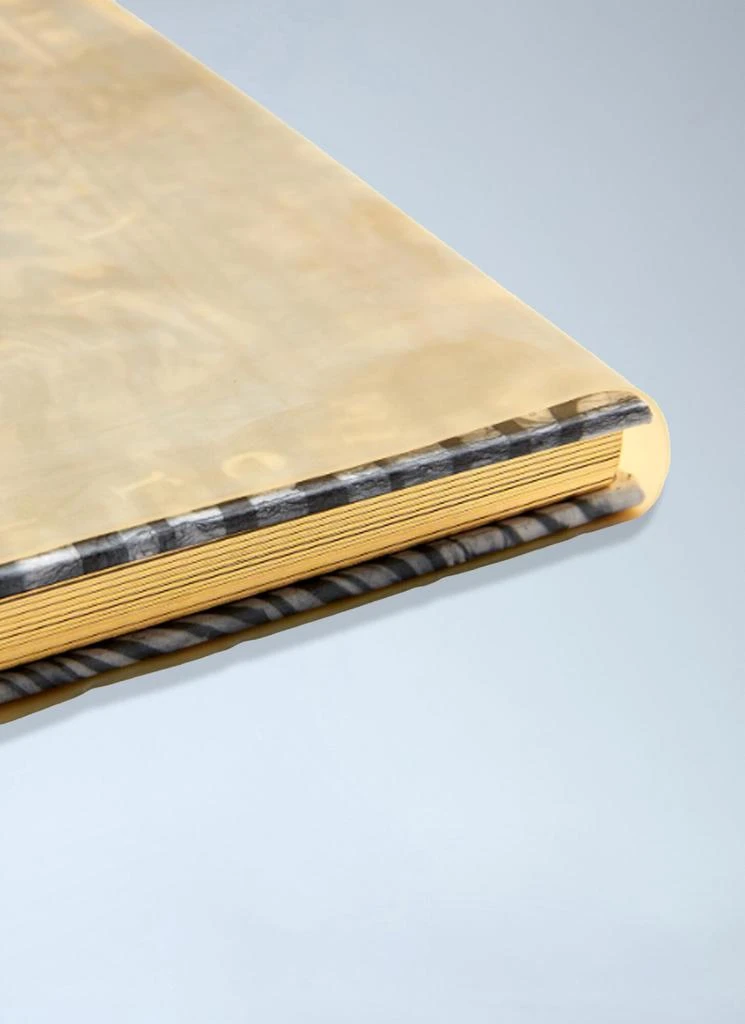 Antenne Books The Unobtainable Chamber by Stanislava Kovalcikova Book 5