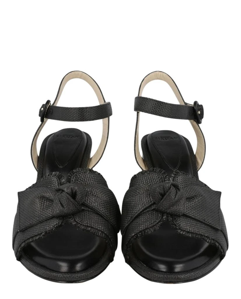 Alexandre Birman Maxi Clarita Raffia 75 5
