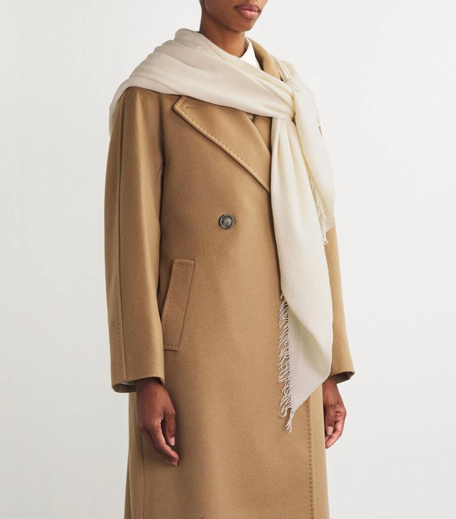 Weekend Max Mara Viscose-Cashmere Scarf 4