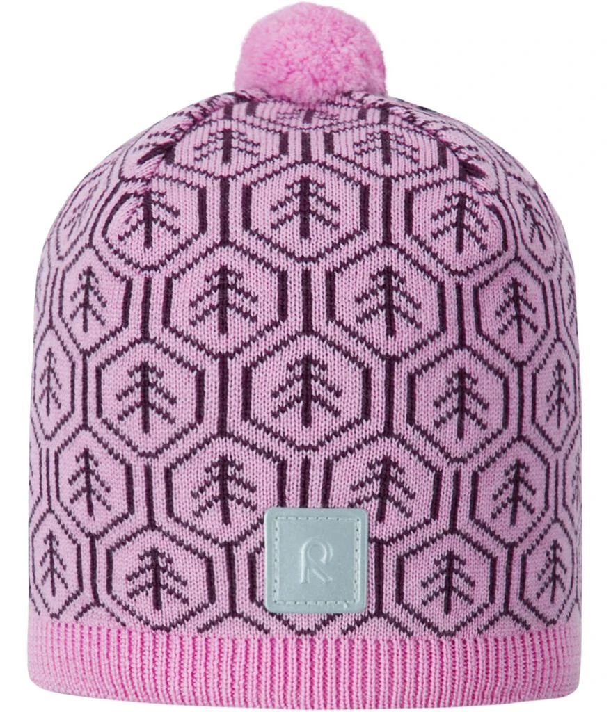 reima Tunturissa Beanie (Toddler/Little Kids/Big Kids) 1