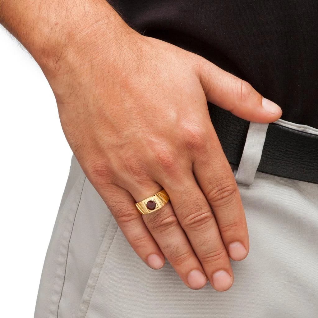 Palm Beach Jewelry Men
s 1.40 TCW Round Genuine Red Garnet 14k Gold-plated Sterling Silver Ring 3