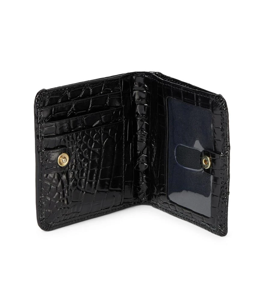 Brahmin Jane 2