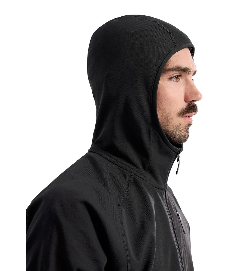 Arc'teryx Delta Hoody 4