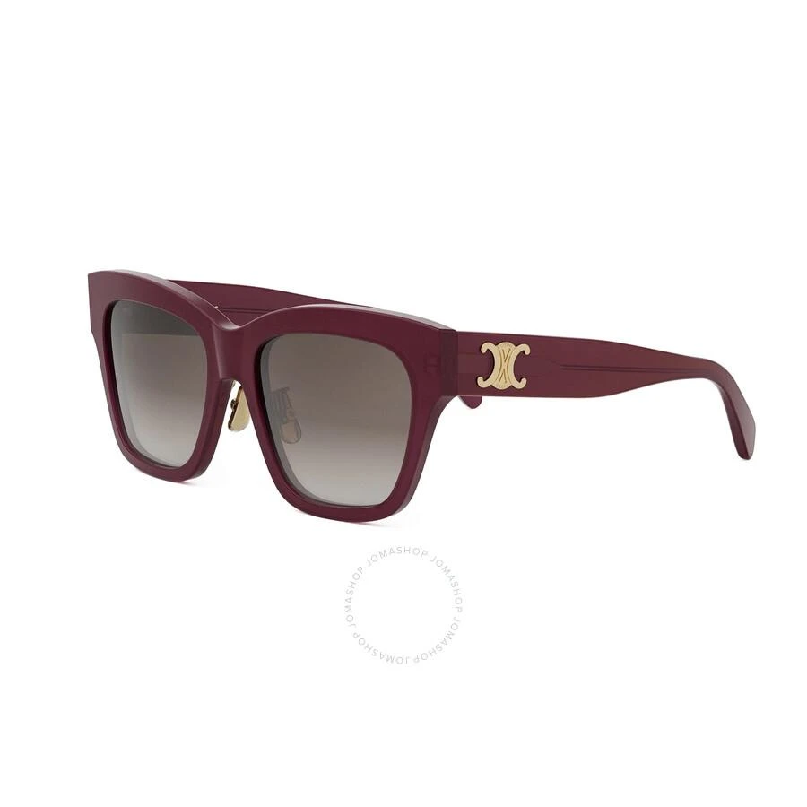 Celine Triomphe Brown Gradient Butterfly Ladies Sunglasses CL40253F 69F 55 1