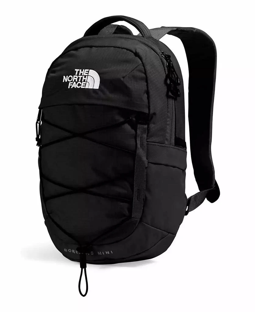 The North Face Men's Borealis Mini Backpack 2