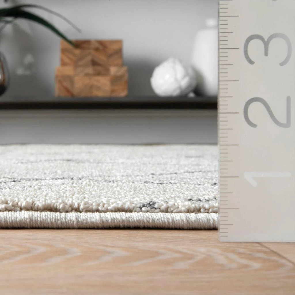 nuLOOM Alara Modern Trellis Tassel Area Rug 3