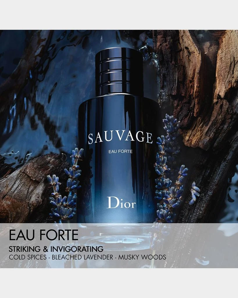 Dior Dior Sauvage Eau Forte Parfum 3