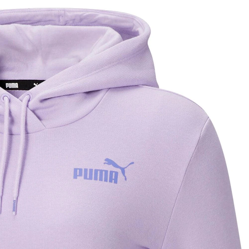 Puma Essentials Colorblock Pullover Hoodie 3