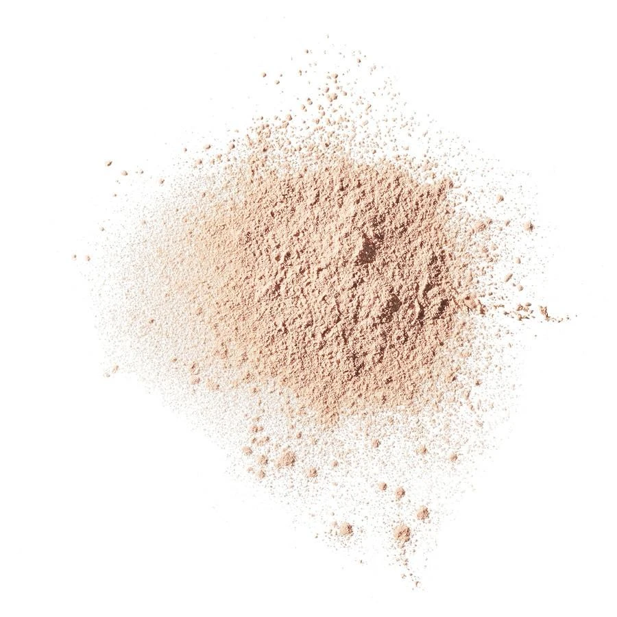 Revlon ColorStay Blot Setting Powder 2