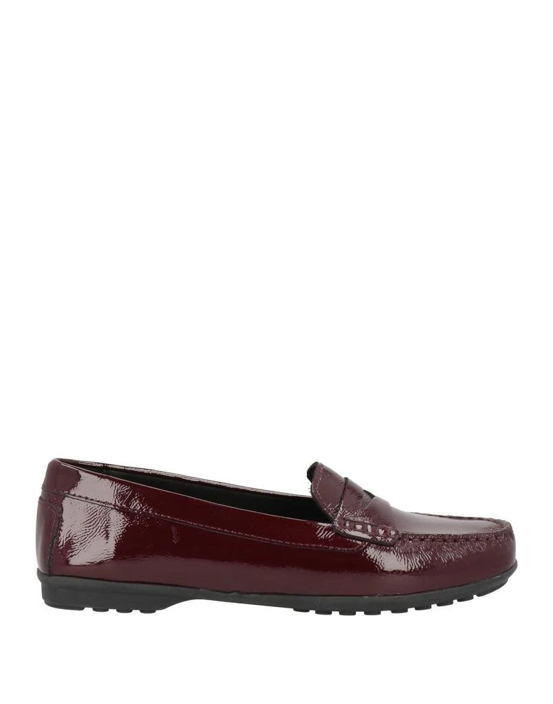 Geox Loafers 1