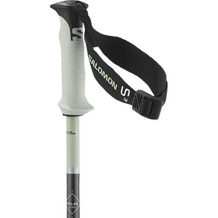 Salomon Polar Pro S3 Ski Poles 3