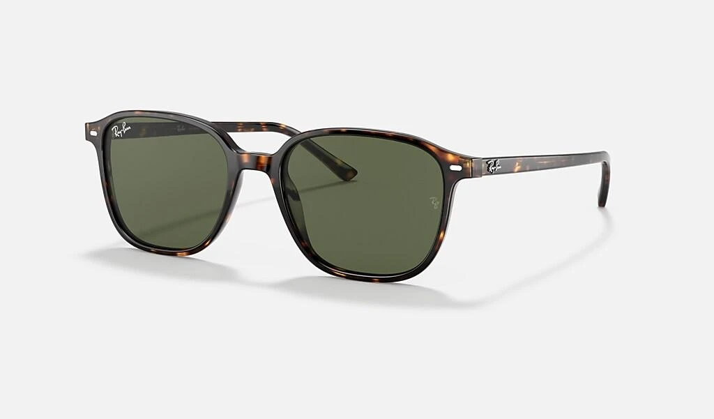Ray-Ban LEONARD 1