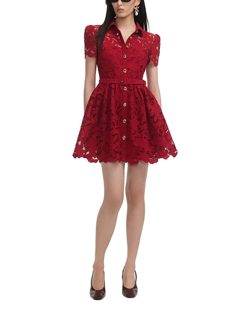 Burgundy Lace Collared Mini Dress  On Sale Now with Up to 31% Off |  Discover Exclusive Deals & Savings at BeyondStyle  Authentic Self Portrait  women|dress with Limited-Time Discounts, Free Shipping,