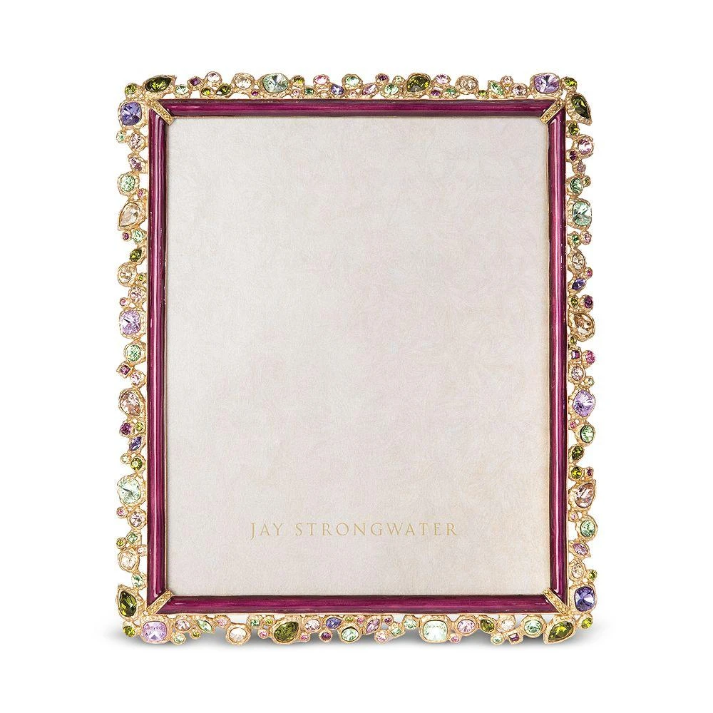 Jay Strongwater Theo Bejeweled 8" x 10" Frame 1