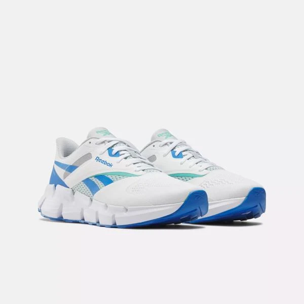 Reebok Zig Dynamica 5 Shoes 2