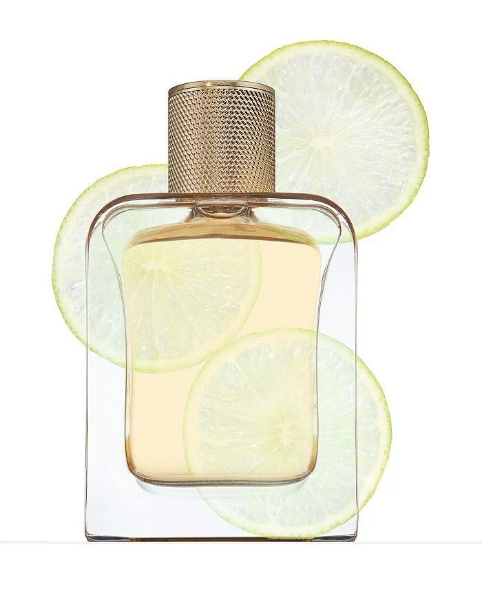 Veronique Gabai Booster Eau du Jour Eau de Parfum 2.85 oz. 3