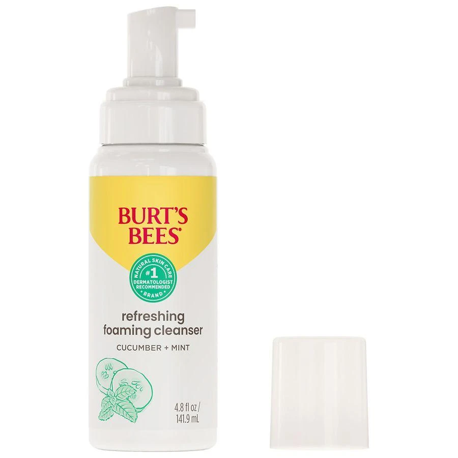 Burt's Bees Refreshing Foaming Face Cleanser Cucumber and Mint 1