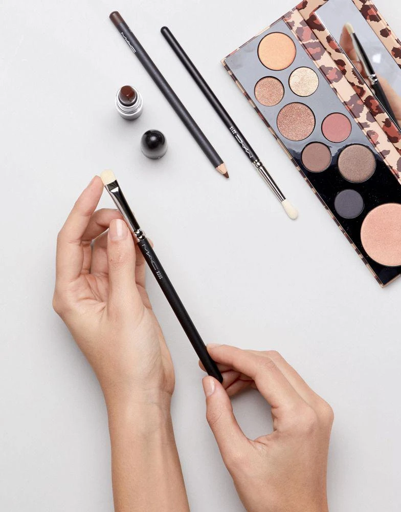 MAC MAC 239S Eye Shader Brush 4