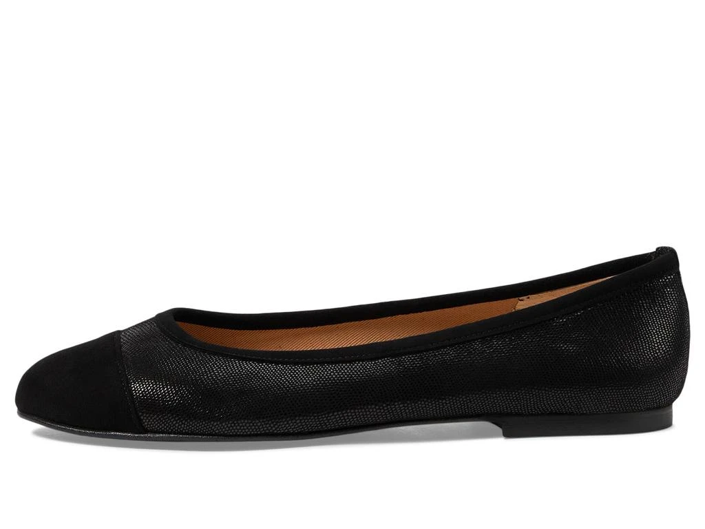 French Sole Tiffany 4