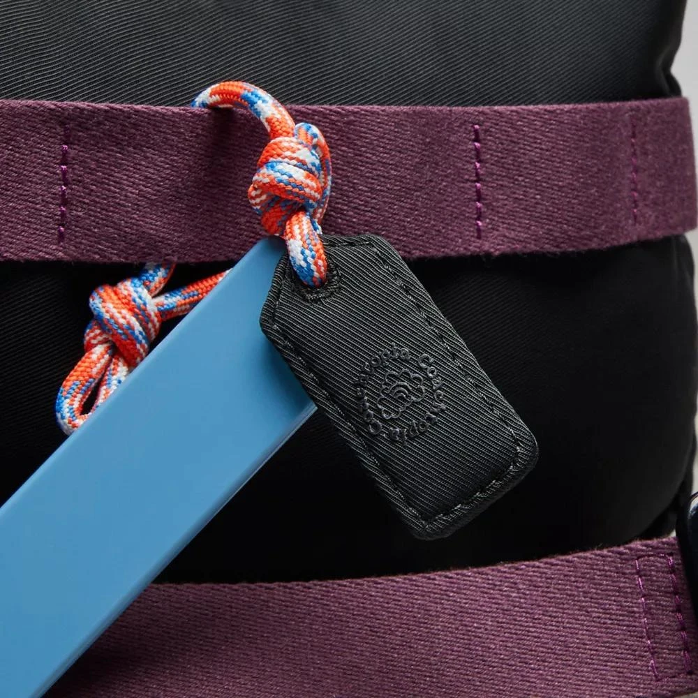 Coach Coachtopia Loop Mini Backpack 6