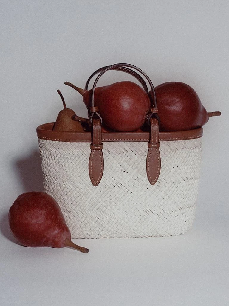 Hunting Season Mini Leather-Trimmed Woven Tote Bag 6