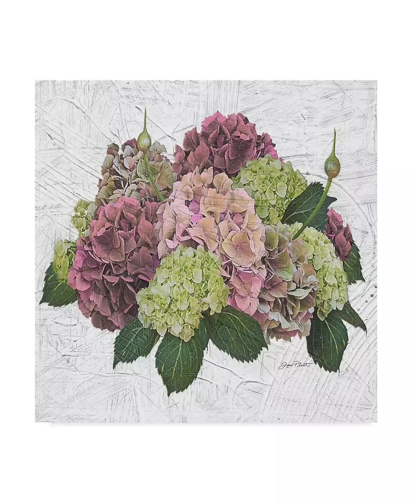 Trademark Global Jean Plout
Hydrangea Vignette Pink
Canvas Art - 14" x 14"