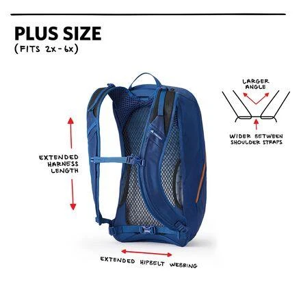 Gregory Arrio 22L Plus Backpack 5
