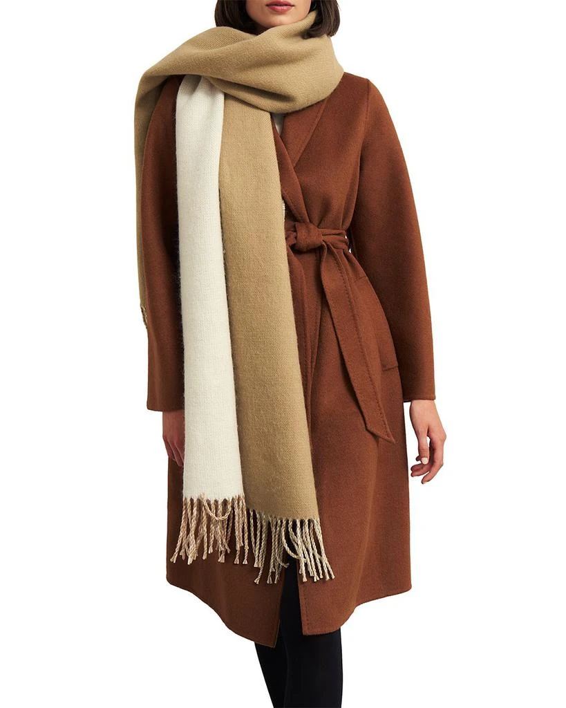 HOBBS LONDON Nancy Scarf 2