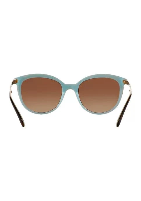 Tiffany & Co. Co. Tf4117b  Sunglasses 2