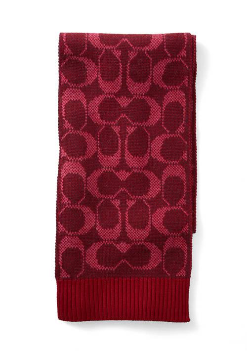 Coach Jumbo Signature C Knit Scarf